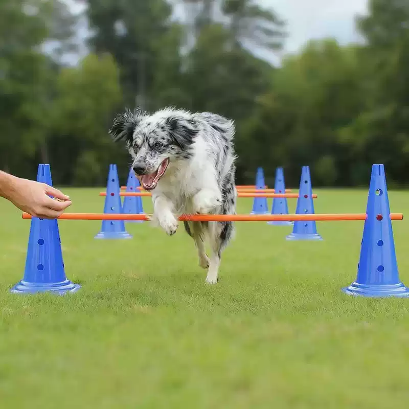 Agility Hurdle Set - 30CM Honden Agility Obstakelset, Springhindernissen, Cones,