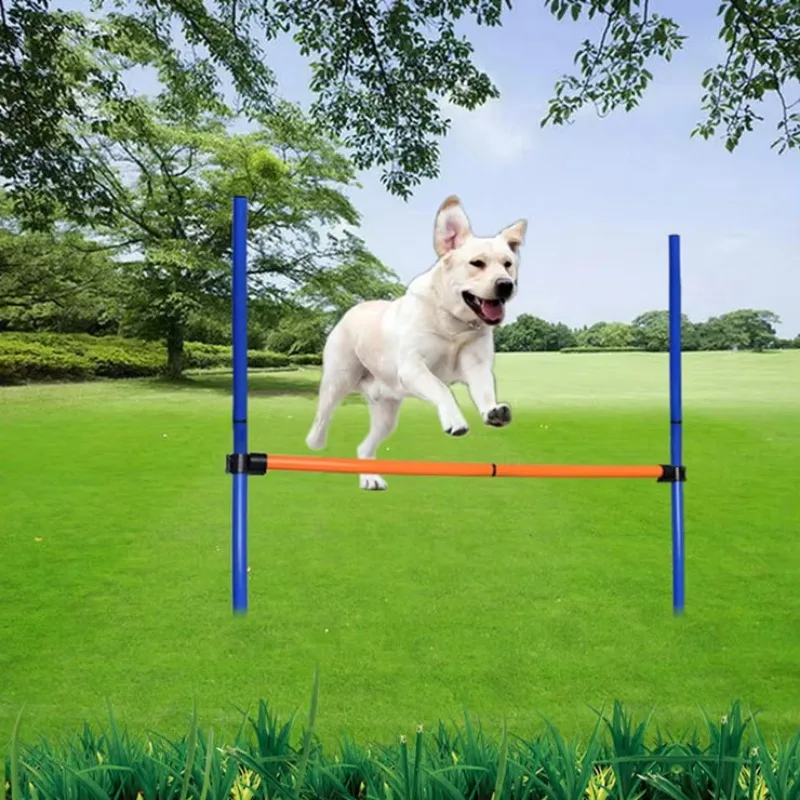 trainingsapparatuur hond behen - Agility Hurdle Set recensie en prijs