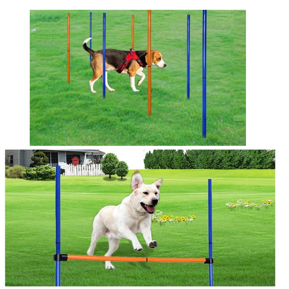 Huisdier Hond Behendigheid Uit - Agility Hurdle Set recensie en prijs