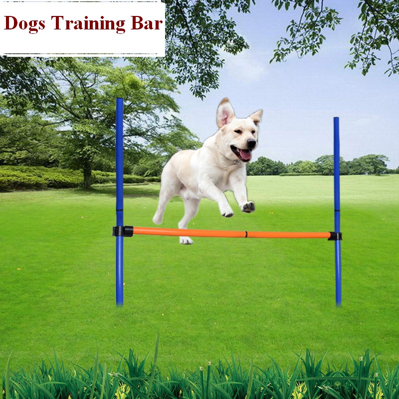Huisdier Hond Behendigheid Uit - Agility Hurdle Set recensie en prijs