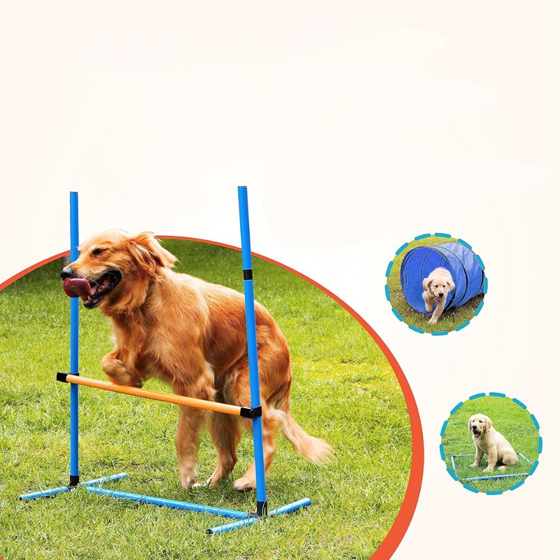 Amazon Hondentrainingsapparatu - Agility Hurdle Set recensie en prijs