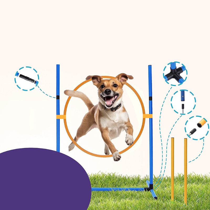 Amazon Hondentrainingsapparatu - Agility Hurdle Set recensie en prijs