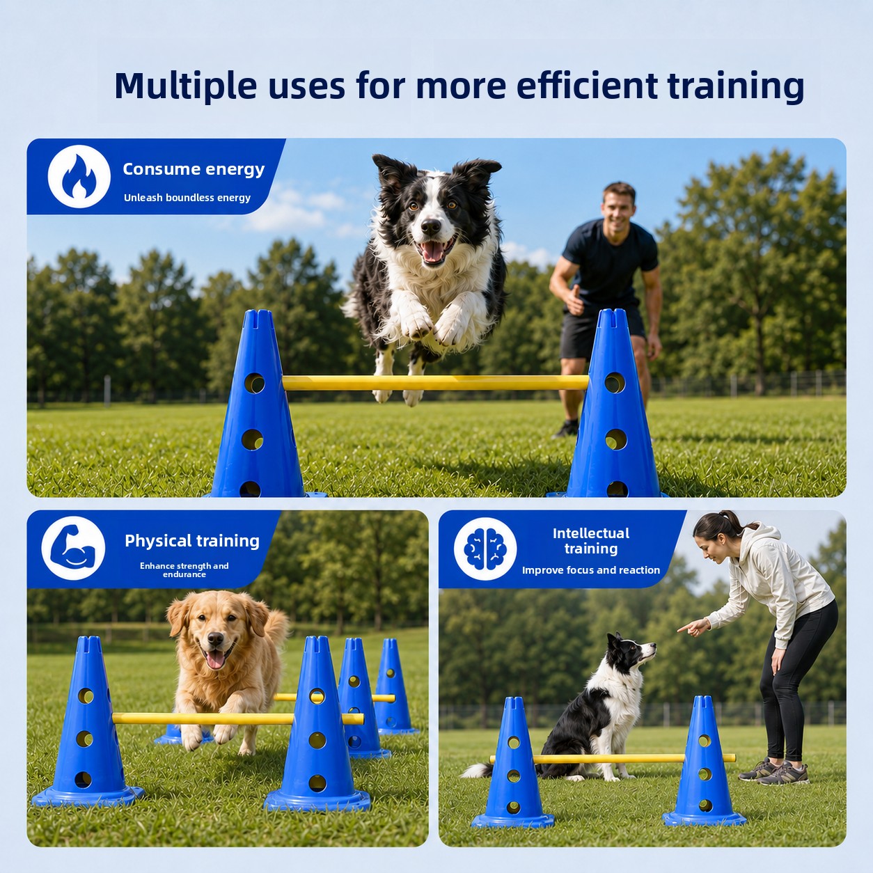ZHAYA Honden Agility Trainings - Agility Hurdle Set recensie en prijs